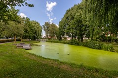 Vrouwenmantel 81  Schoonhoven 001.jpg